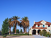 Palm trees by Kelso Station