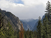 Kings Canyon - view east