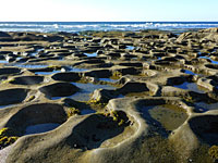 Many tide pools