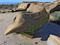 Wave-carved rock