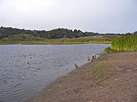 Lake Cleone