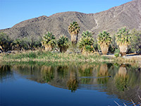 Lake Tuendae Trail