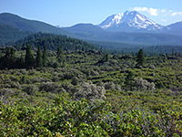 Spattercone Trail