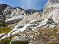 White granite