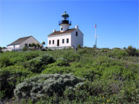 Bushes and flowers below the lighthouse