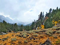 Clouds over the mountains