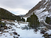 Snowy slopes