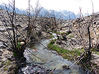 Lone Pine Creek - upstream