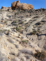 Rocky slope