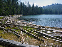 Logs by Lower Twin Lake