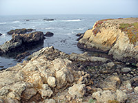 Laguna Point