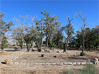 Garden in block 12