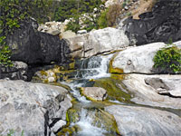 Cascade