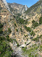 Above the streambed