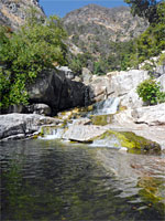 Pool above the falls