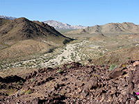 Mojave Trails National Monument