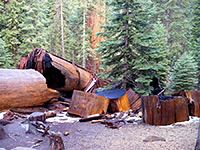 Wawona and Mariposa Grove