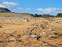 Trail across a stony meadow