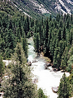 Downstream of Mist Falls