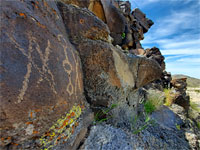 Willow Wash Petroglyphs