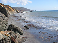 Andrew Molera State Park