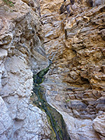 Monarch Canyon