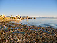 Pebbly beach