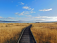 Trail to the lake