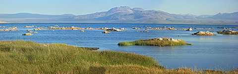 North shore of Mono Lake