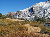 Grass and bushes near the summit