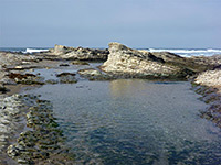 Rock pool