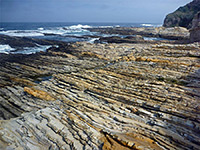 Coastal terrace