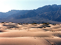 Morning sun on the Mesquite Flat dunes