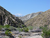 Mt San Jacinto