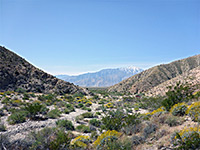South end of the canyon