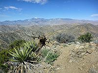 Morongo View