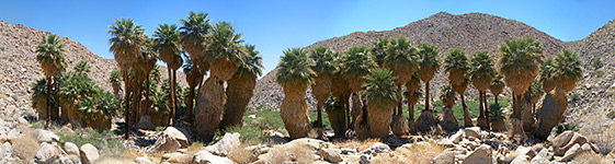 Anza-Borrego Desert State Park