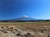 The volcano, from I-5