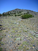 Hillside below the summit