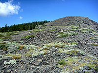 Ridge south of the summit