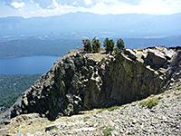 Trees near the summit