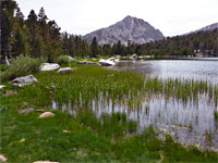 Edge of Muir Lake