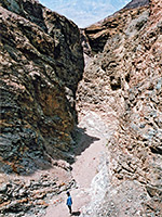 photograph