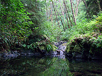 Pool along Nickel Creek