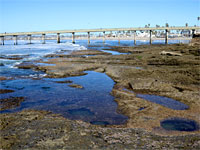 Ocean Beach Pier