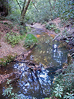 Opal Creek