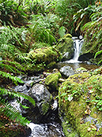 Waterfall on Ossagon Creek