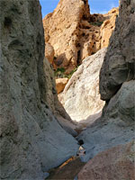 Smooth narrows