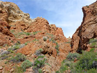 Red canyon walls