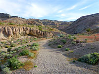 Shallow streambed